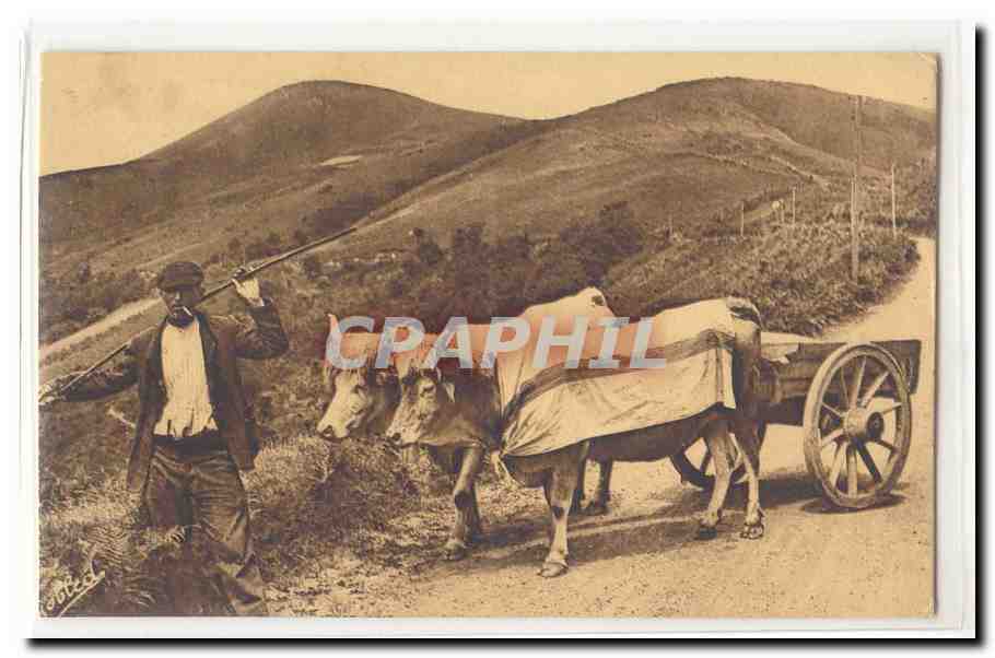 Pays basque CPA Attelage basque (boeufs)