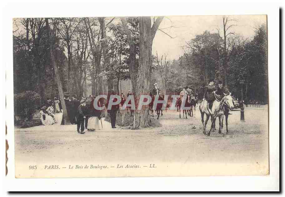 Paris (16eme) CPA Le bois de Boulogne Les Acacias (chevaux cavalieres)