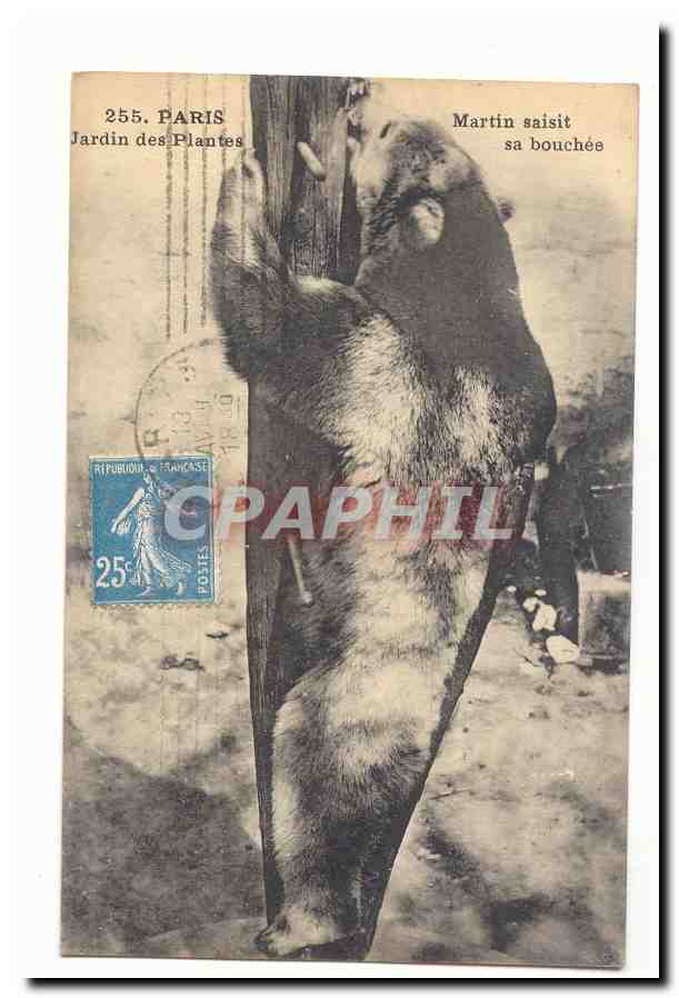 Paris (5eme) CPA Martin saisit s bouchee au Jardin des plantes (OURS BeAr) TOP