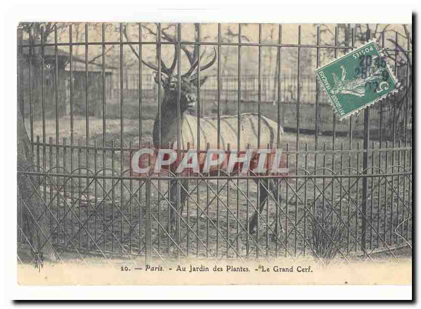 Paris — Au Jardin des Plantes — Le Grand Cerf