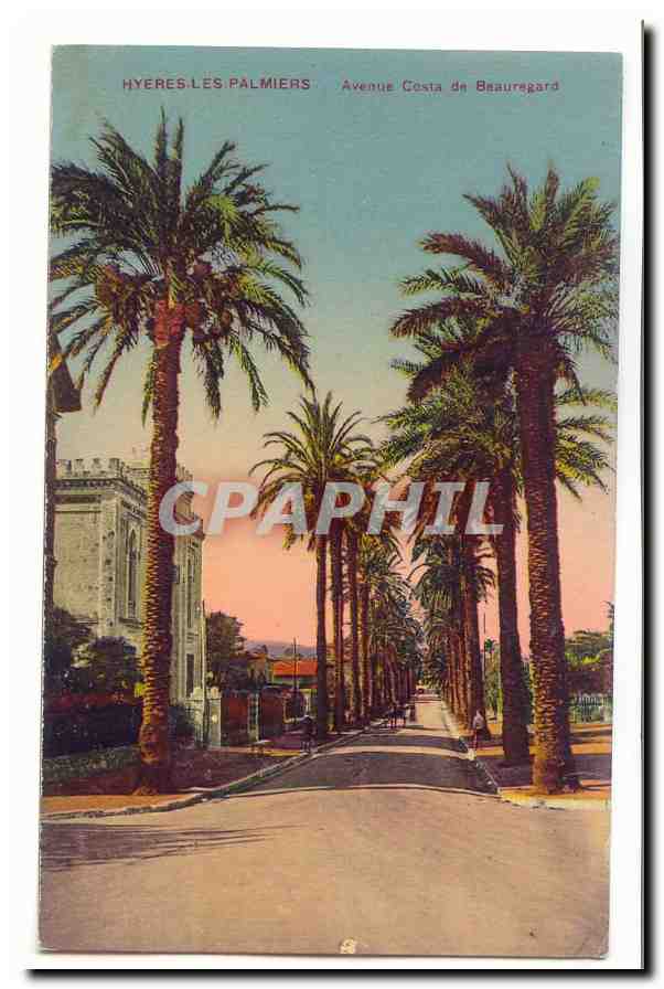 Hyeres les palmiers CPA Avenue Costa de Beauregard