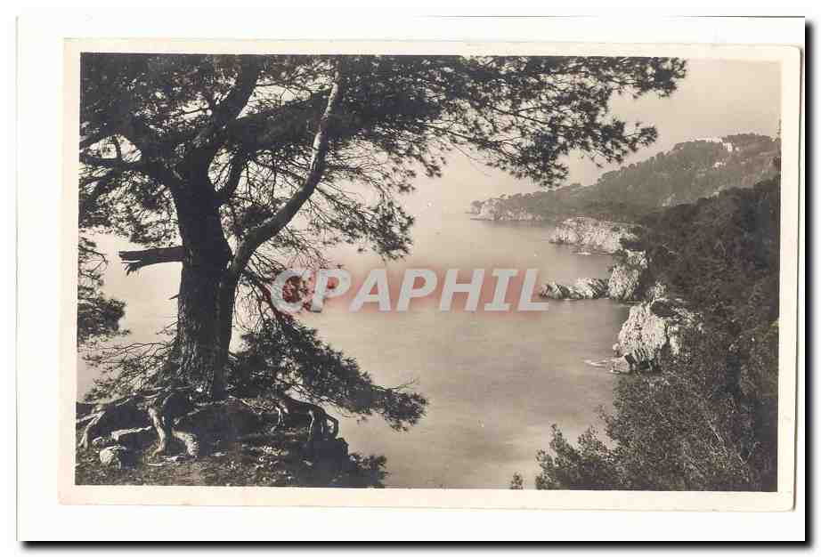 Toulon CPA La Cap Brun vu de Sainte Marguerite