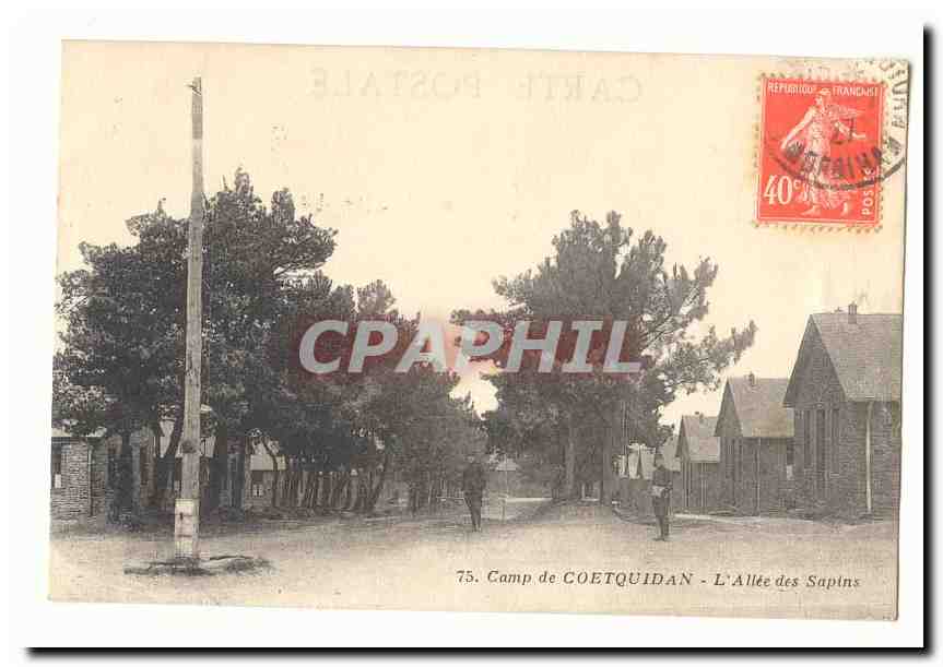 Camp de Coetquidan - L'Allée des Sapins — éditeur non visible, n° de série 75