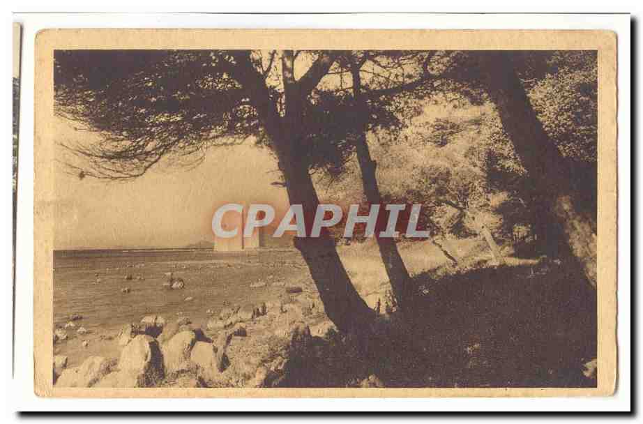 Abbaye de ND de Lerins CPA Ile Saint Honorat A l'ombre des grands pins