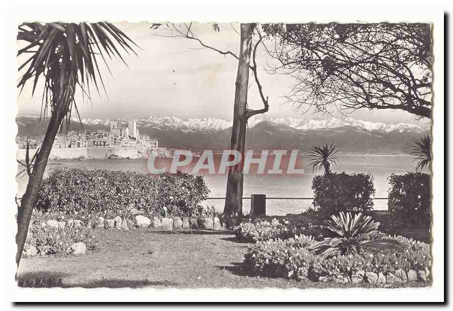 Antibes CPA La vieille ville au fond les Alpes neigeuses