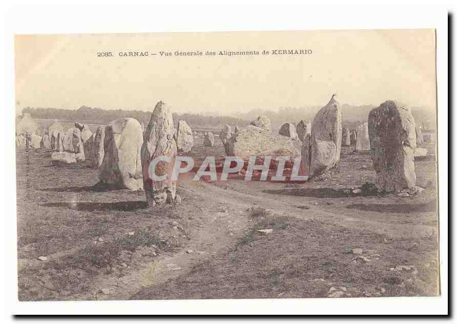 Carnac CPA Vue generale des alignements de Kermario