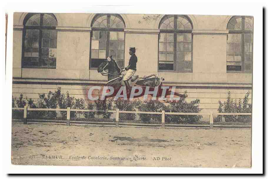 Saumur CPA Ecole de cavalerie Sauteur en liberte (cheval cavalier horse)