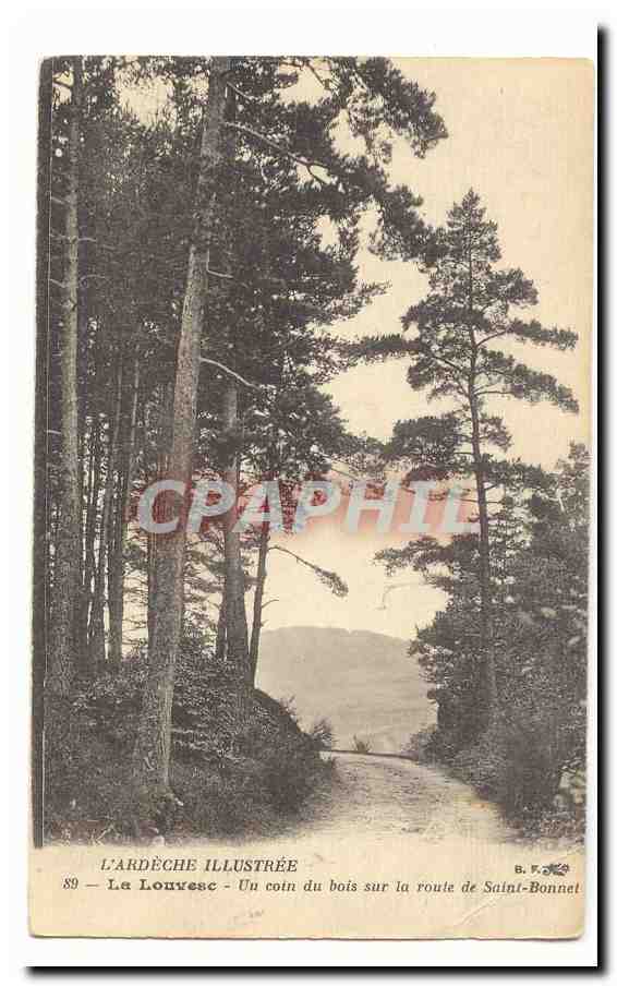 Le Louvesc CPA Un coin du bois sur la route de Saint Bonnet