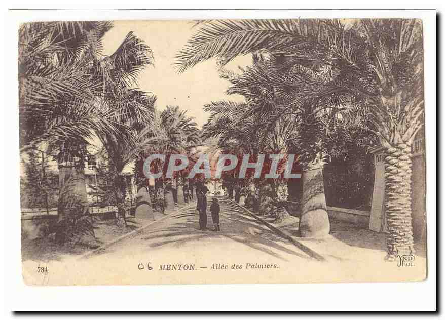 Menton CPA Allee des palmiers