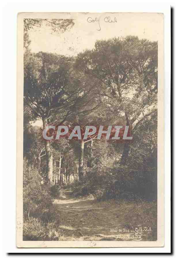 Antibes CPA Allee de Pins au Golf Club (Alpes Maritimes)