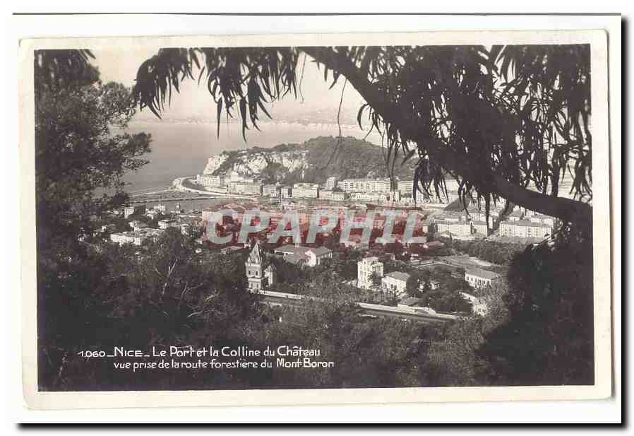 Nice CPA Le port et la colline du chateau vue prise de la route forestiere du Mont Boron