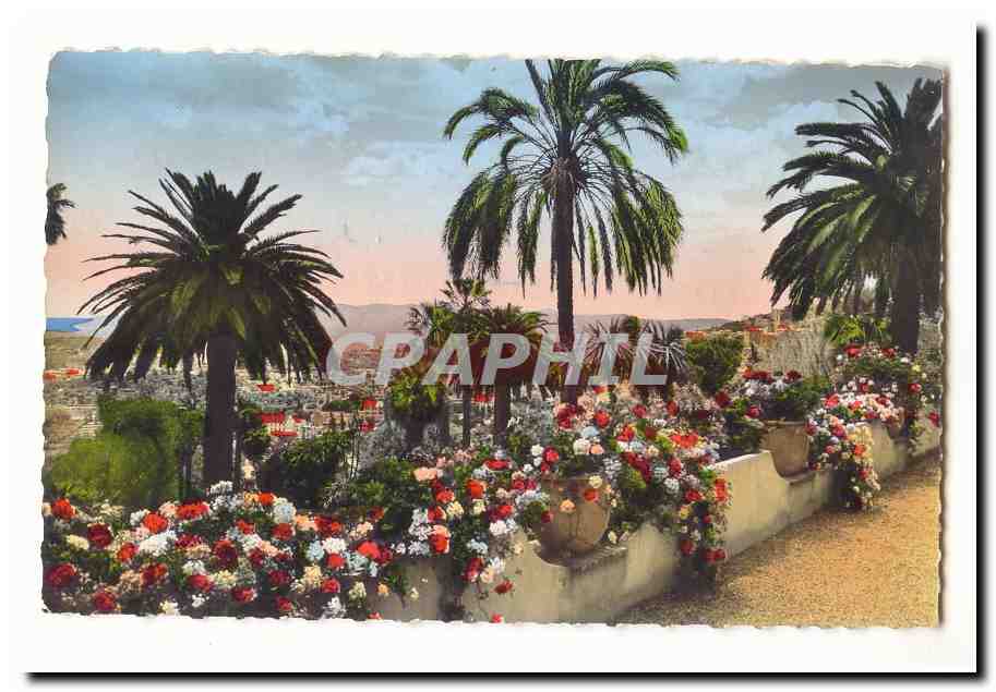 Grasse CPA Sa vegetation exotique Au fond : la Mediterranee