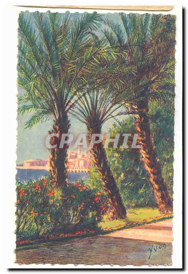 Menton CPA La ville vue a travers les palmiers