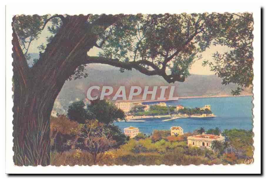 La cote Vermeille CPA Banyuls sur Mer Vue a travers les pins