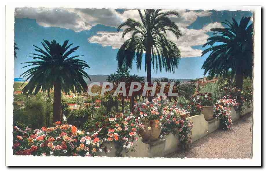 Jardin de palmiers et fleurs — vue sur la ville — CPAPHIL