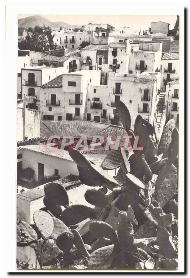 Espagne Spain Espana Ibiza CPA Ciudad Barrio Tipico