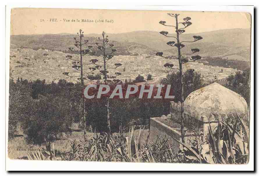 Maroc Fez CPA Vue de la Medina (cote sud)