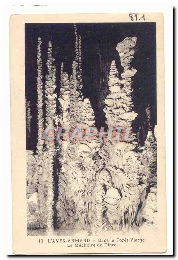L'Aven-Armand — The Tiger's Jaw — In the Virgin Forest