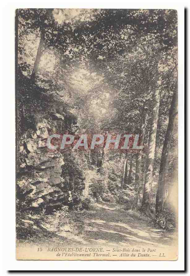 Bagnoles de l'orne CPA Sous bois dans le parc de l'etablissement thermal Allee du DAnte
