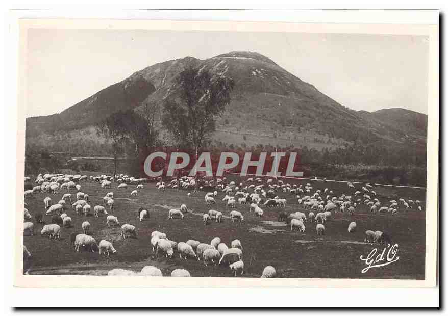 Moutons dans un pré — montagne en arrière-plan — Gd'O