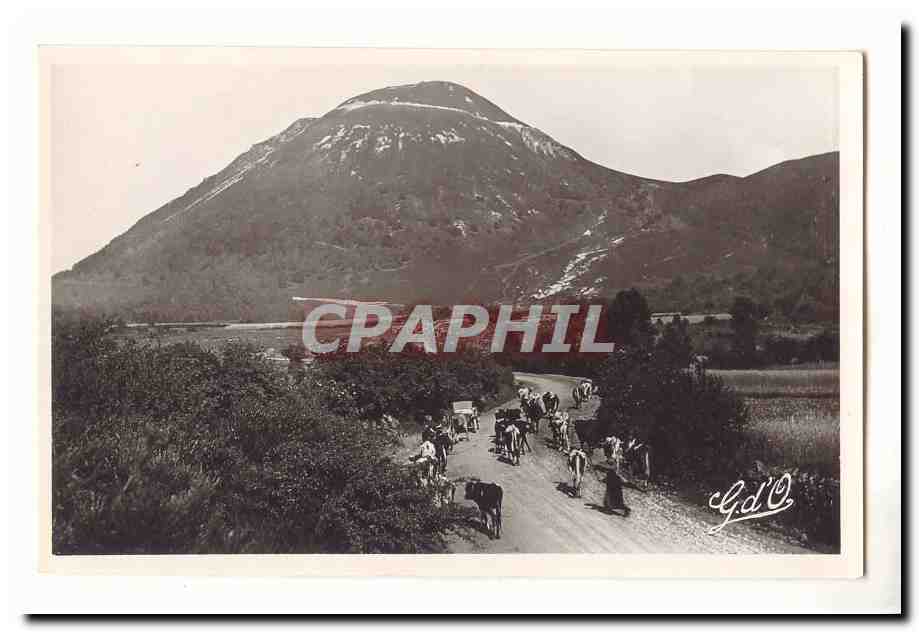 Paysage montagneux — troupeau de vaches sur route — G.D'O. photographe