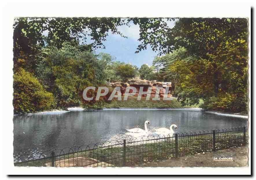 CAmbrai CPA Jardin public Le lac aux cygnes