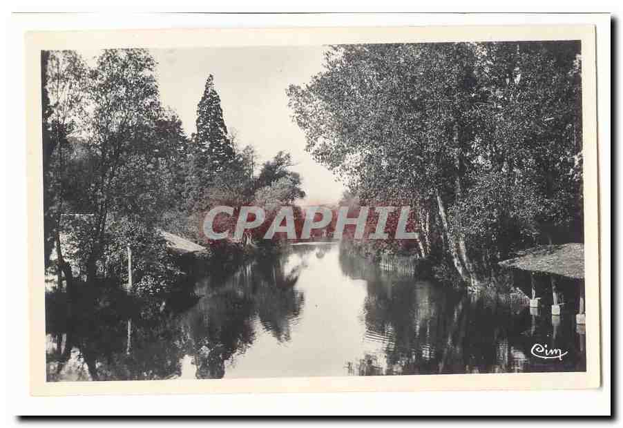 Canal bordé d'arbres — Cim — éditeur Cim