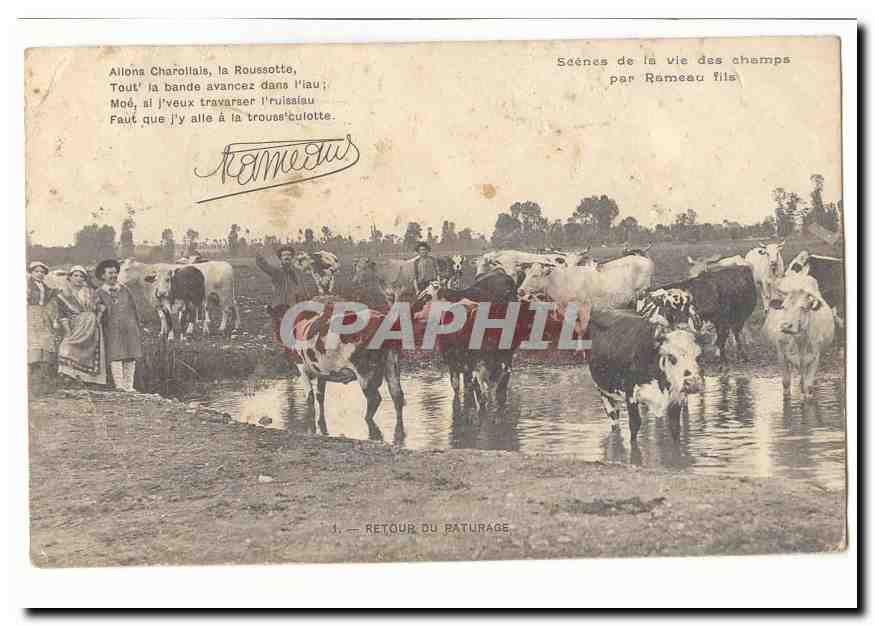 Scenes de la vie des champs par Rameau fils CPA (vaches)