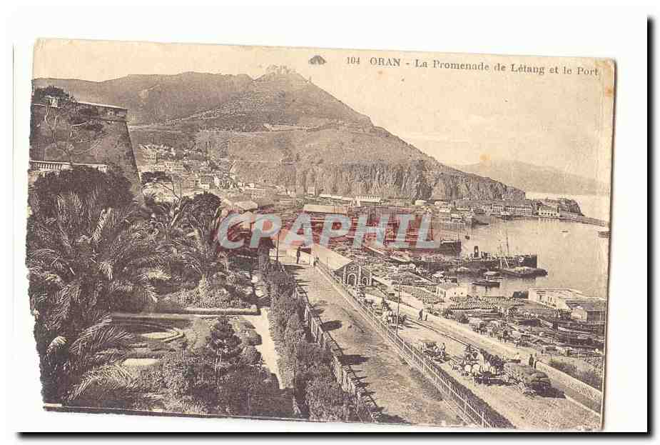 Algerie Oran CPA La promenade de Letang et le port (bateaux tres animee)