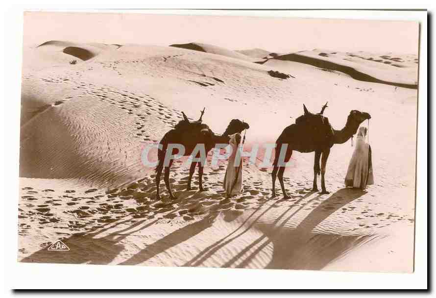 Maroc CPA Passage des dunes (chameau dromadaire)