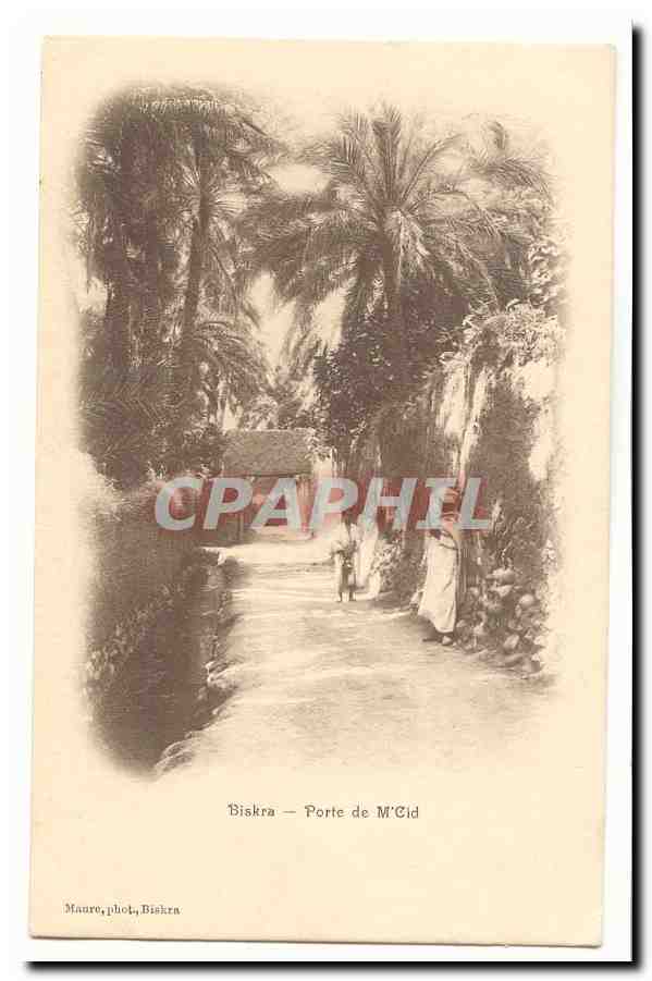Algerie Biskra CPA Porte de M Cid