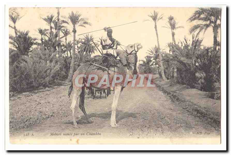 Mehbari monté par un Chambba — ND Phot