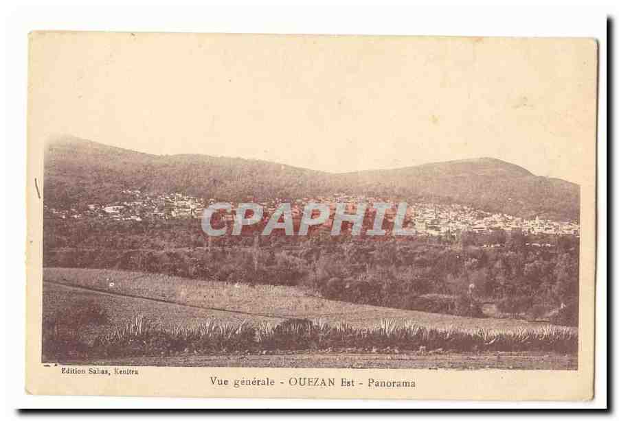 Algerie CPA Vue generale Ouezan Est Panorama