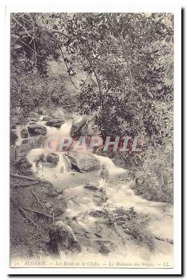 Algérie — Les Bords de la Chiﬀa — Le Ruisseau des Singes — LL