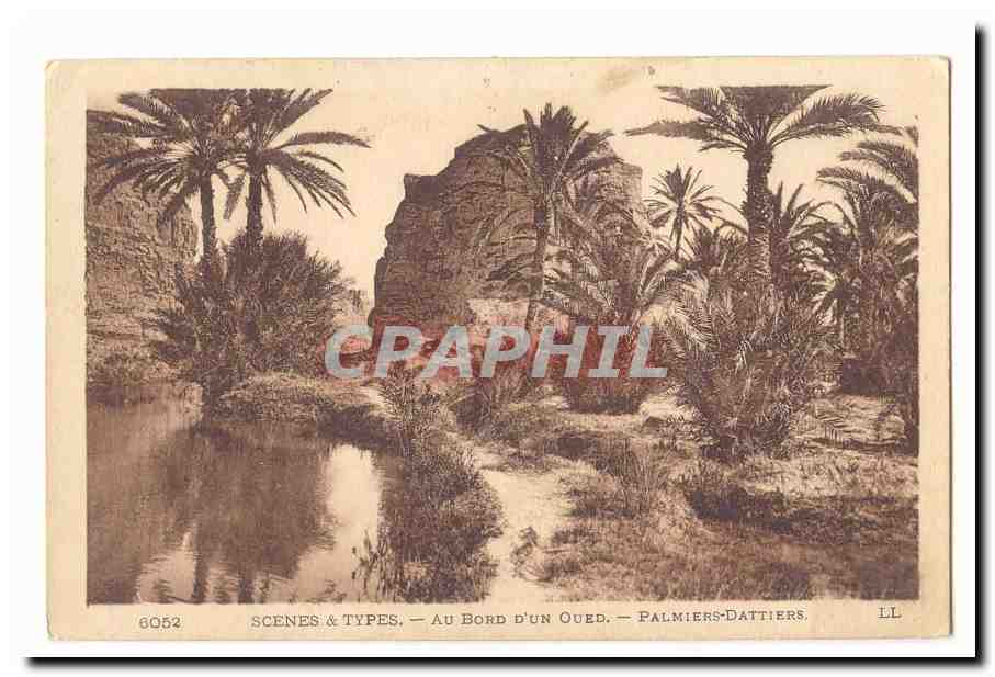 Maroc CPA Au bord d'un oued Palmiers dattiers