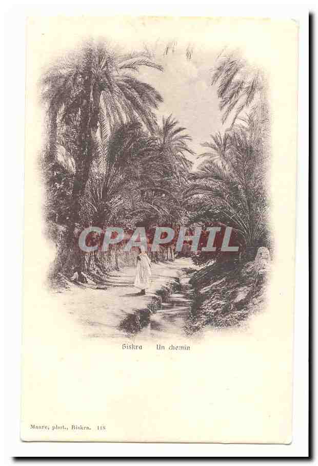 Maroc CPA Biskra Un chemin (carte precurseur palmiers)