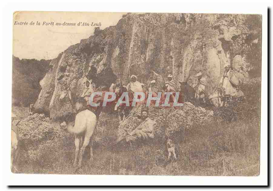 Entrée de la Forêt au-dessus d'Ain-Leuh — vue de groupe avec chevaux et chien — éditeur non identifié