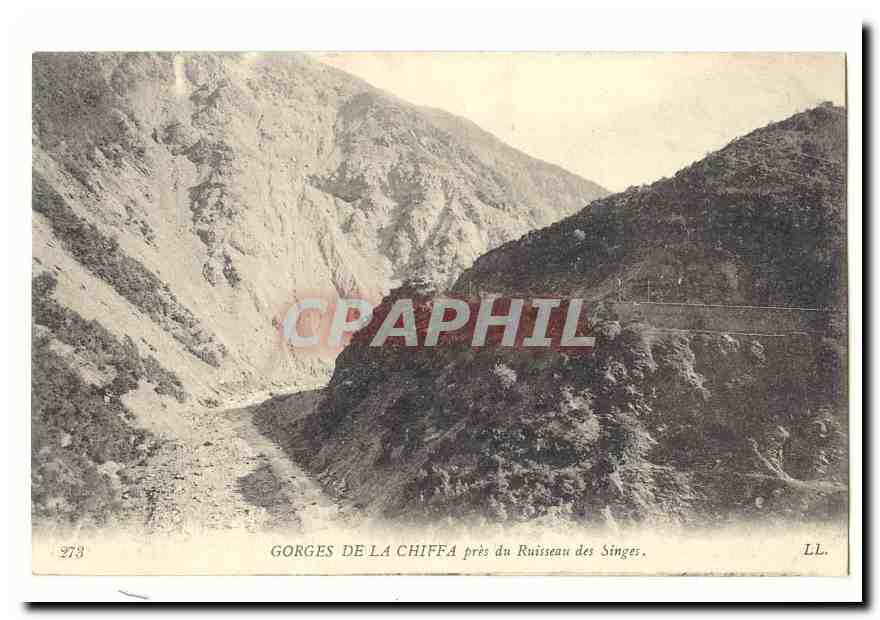 Algerie Gorges de la Chiffa pres du Ruisseau des singes CPA