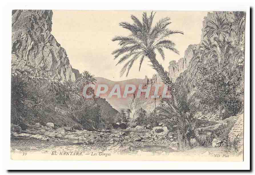Algerie El Kantara CPA Les gorges