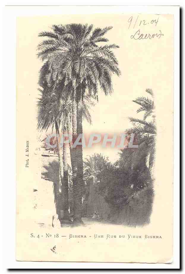 Algerie Biskra CPA Une rue du vieux Biskra