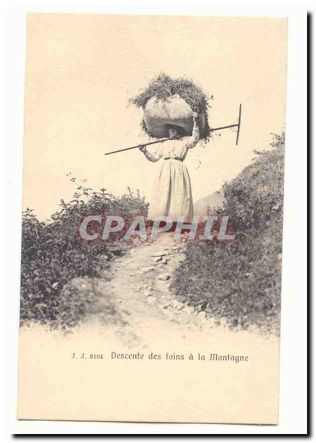 CPA Descente des foins a la montagne TOP (agriculture metiers)