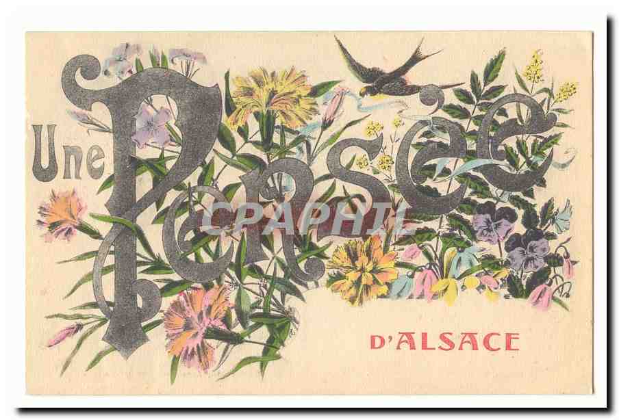CPA Une pensee d\'Alsace (Fantaisie Elsass)
