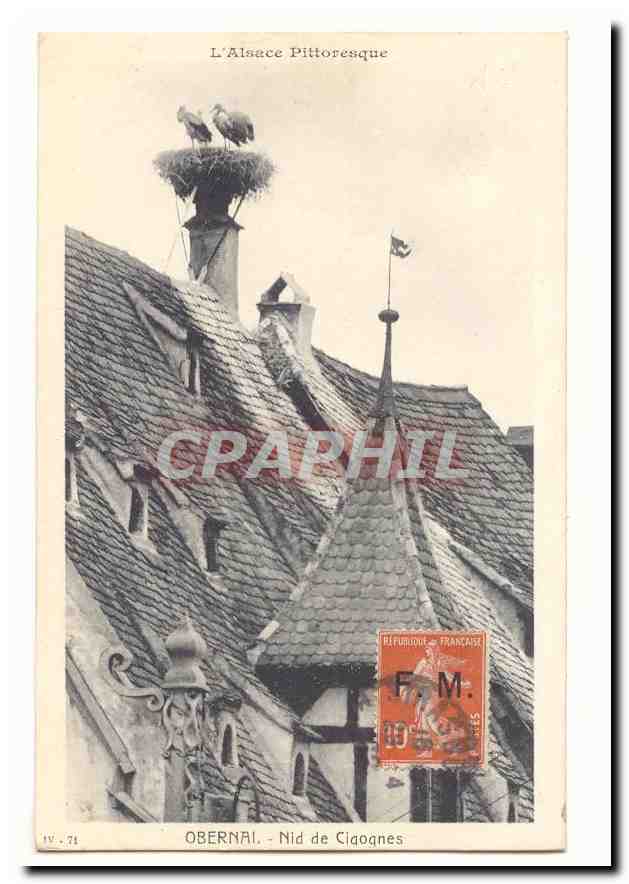 Obernai CPA Nid de cigognes (timbre FM peu courant)