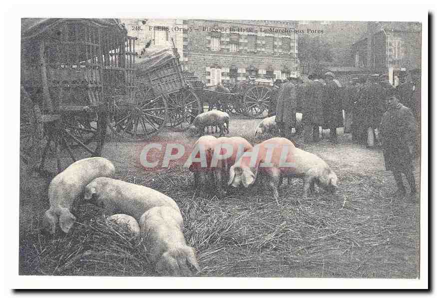 Flers CPA Place de la Halte Le marche aux porcs (cochons) (reproduction)