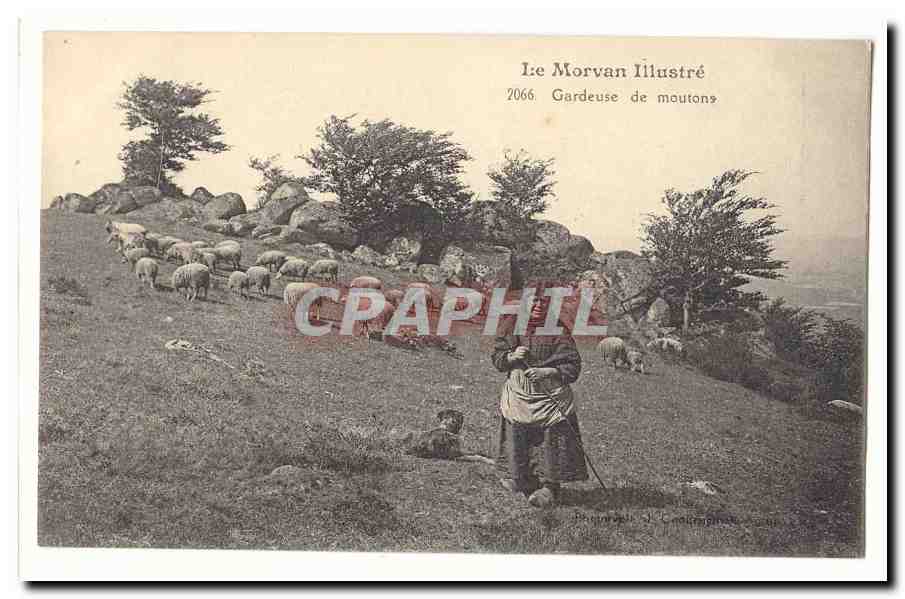 Le Morvan illustre CPA Gardeuse de moutons (metier agriculture elevage) TOP