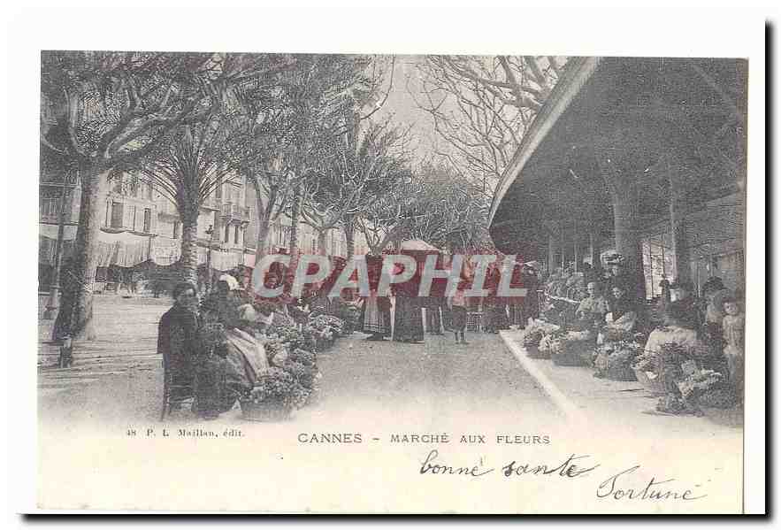 Cannes CPA Marche aux fleurs (reproduction)