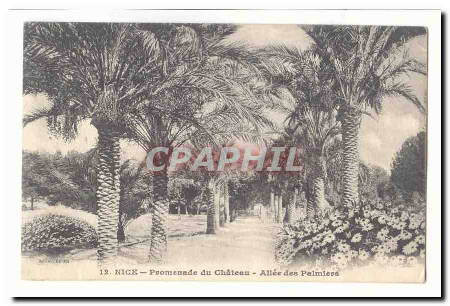 Nice CPA Promenade du chateau Allee des palmiers