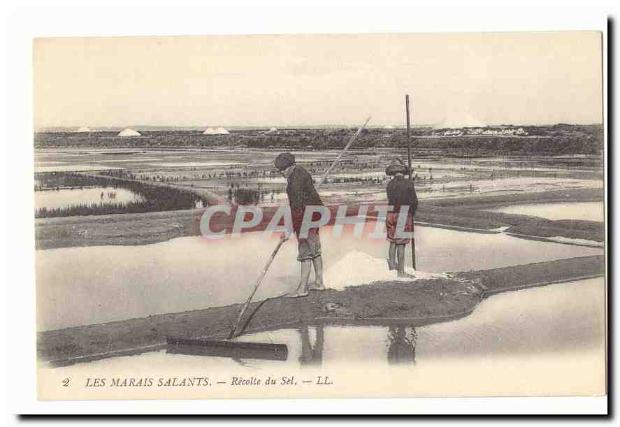 Les marais salants CPA recolte de sel
