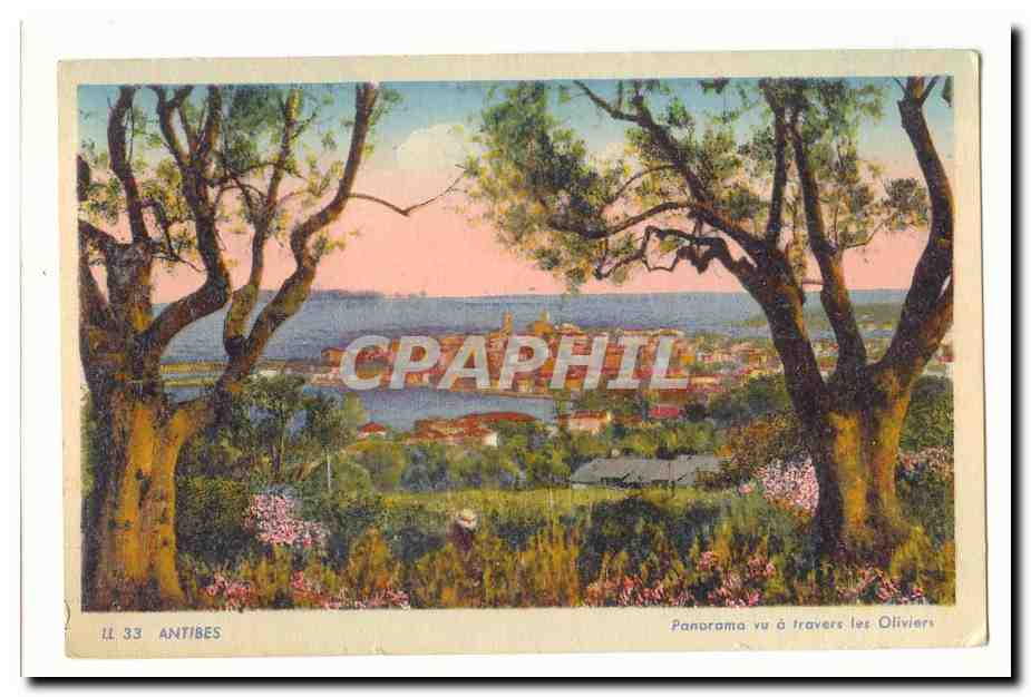 Antibes CPA Panorama vu a travers les oliviers