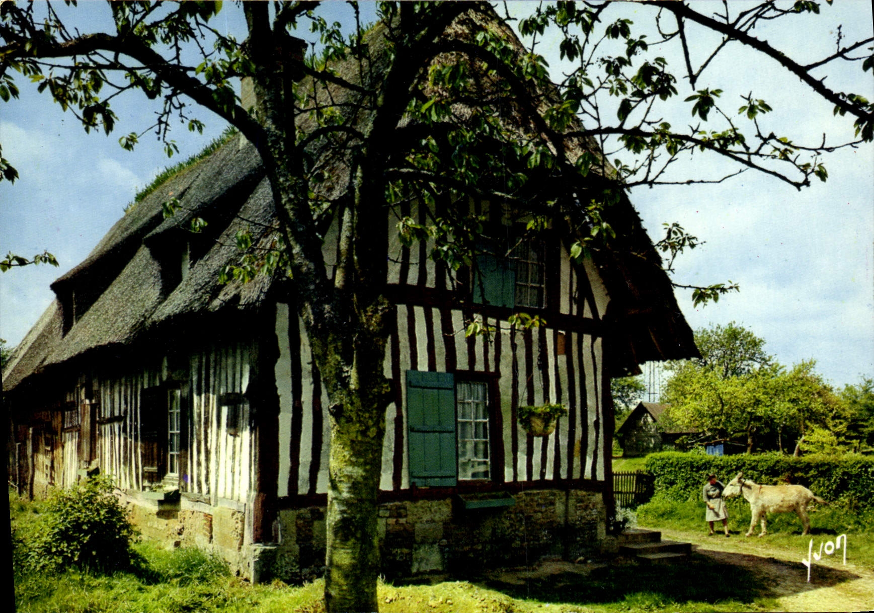 CPSM chaumières normandes